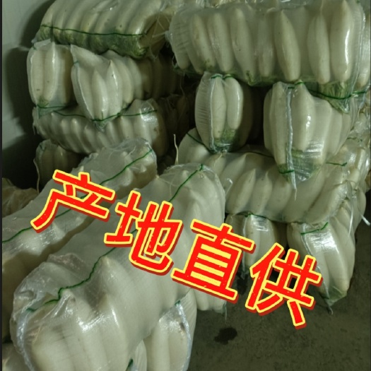 利川市 高山白萝卜