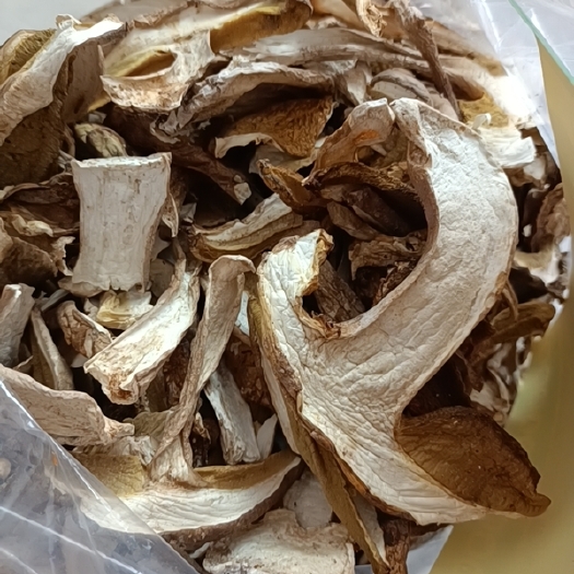 大理市 美味牛肝菌