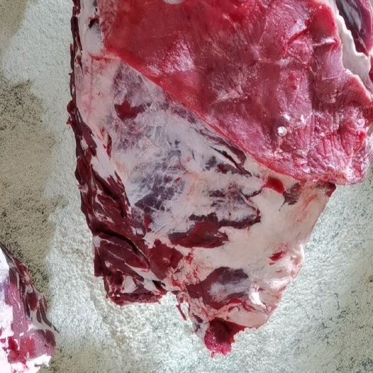 阳信县多肉牛排、每天屠宰都是新鲜的、量大从优