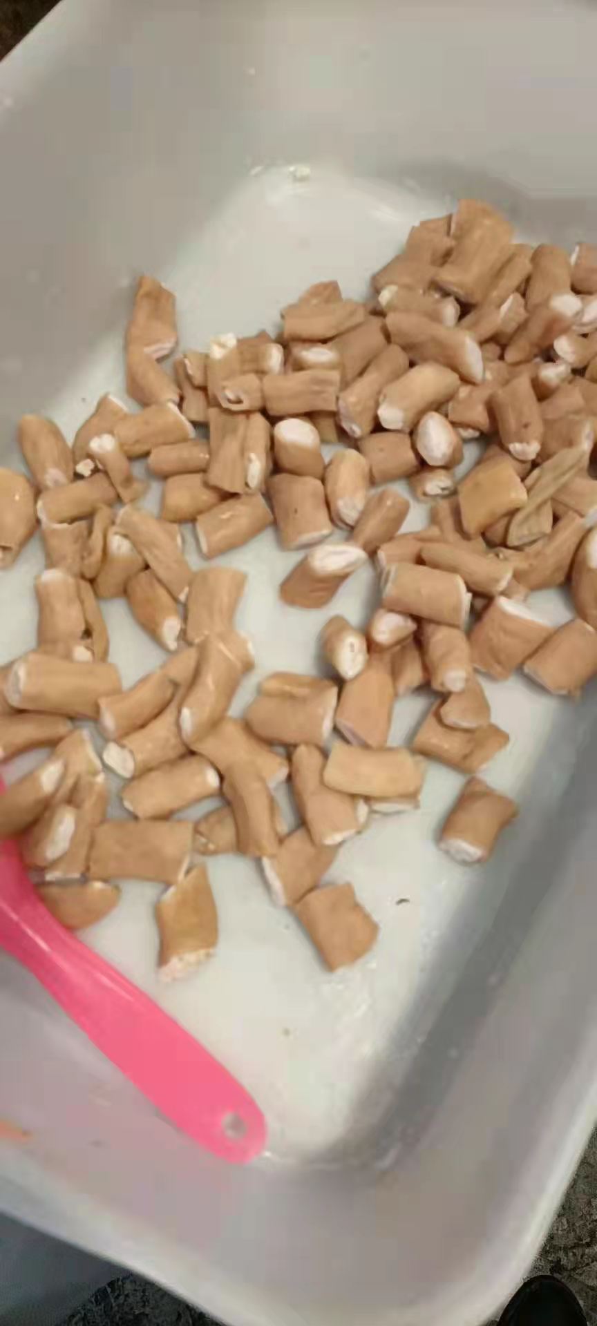 猪肠 贵州安顺屯堡烤小肠《五香味/蒜香味》全国批发