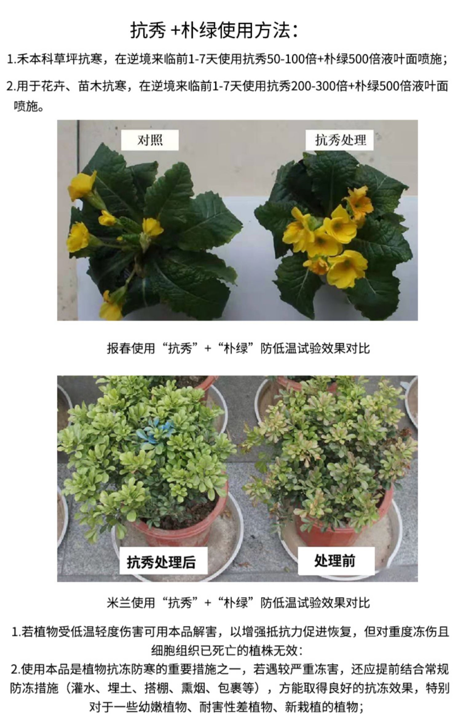 植物防凍劑  花草植物防寒抗凍劑 花卉苗木防凍液 蔬菜防凍劑