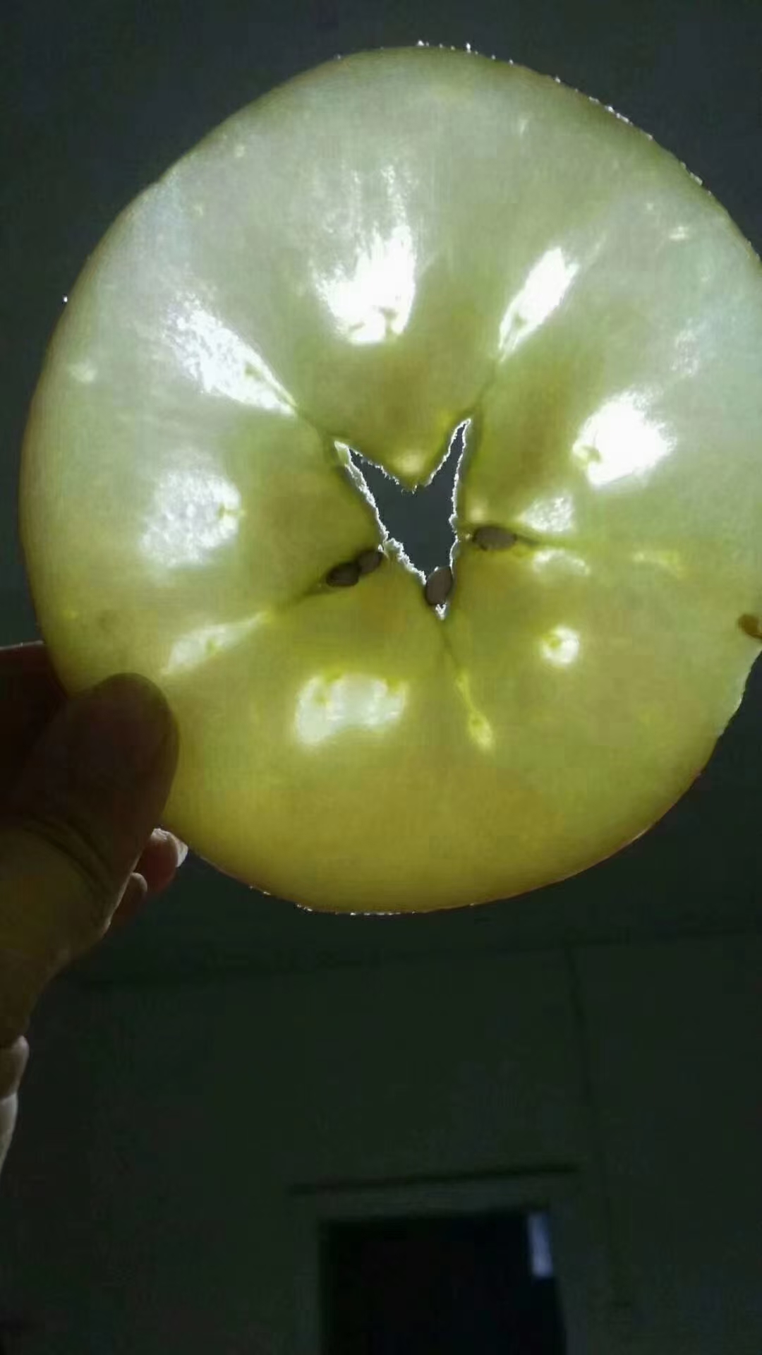  代办代购新疆阿克苏冰糖心红富士苹果