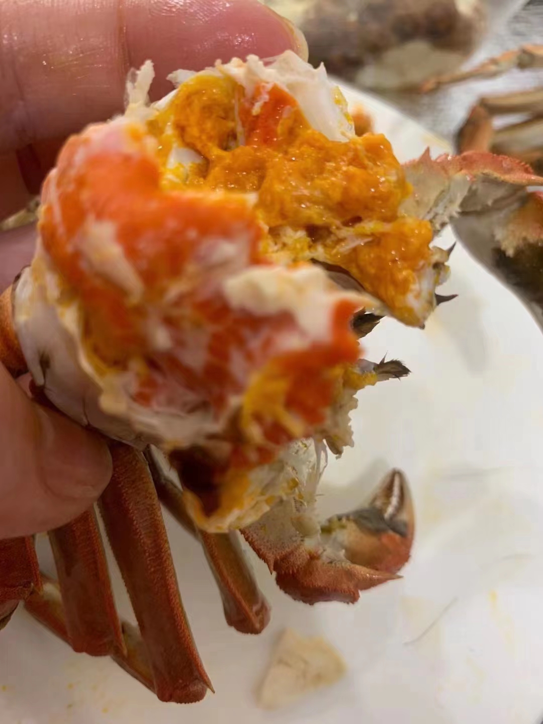 青蟹 母蟹蟹黄已经到了**