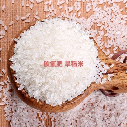 郯城县香米 富硒旱稻稻米