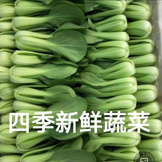 曹县上海青，油菜