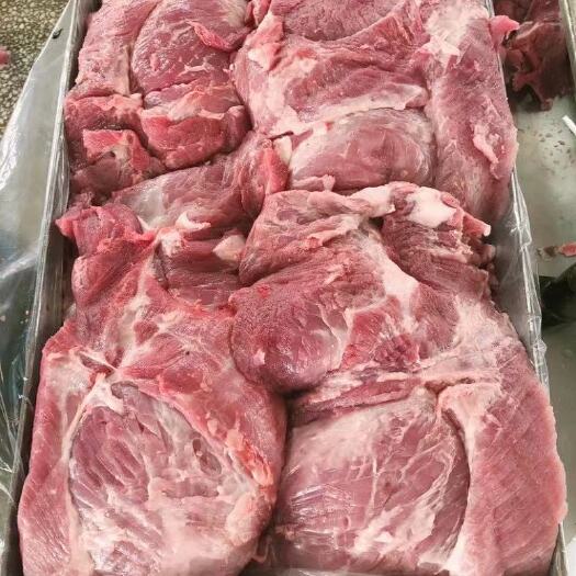 沂南县后腿肉 母猪四号肉