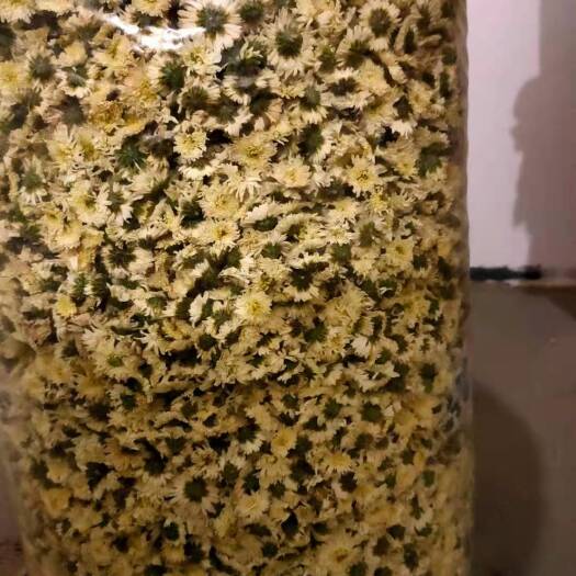 菊花茶  黄山贡菊，七月菊，白菊，原产地直供，可批发零售