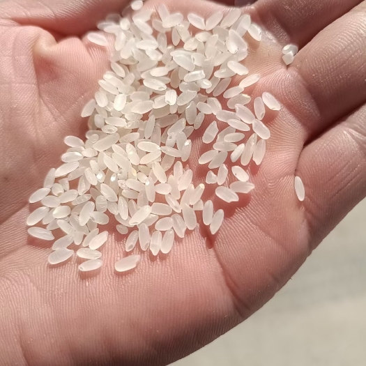翁牛特旗长粒香 此大米的口感香糯、柔软，可以说是大米中的精品