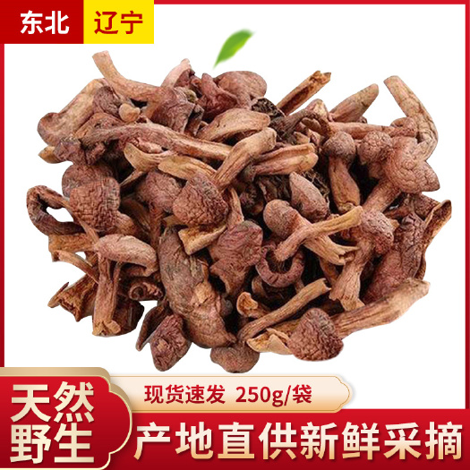 ，2024红蘑，尖货，有需要的联系我，