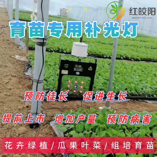 长沙大棚育苗补光灯大棚育苗补光灯红皎阳激光植物补光灯