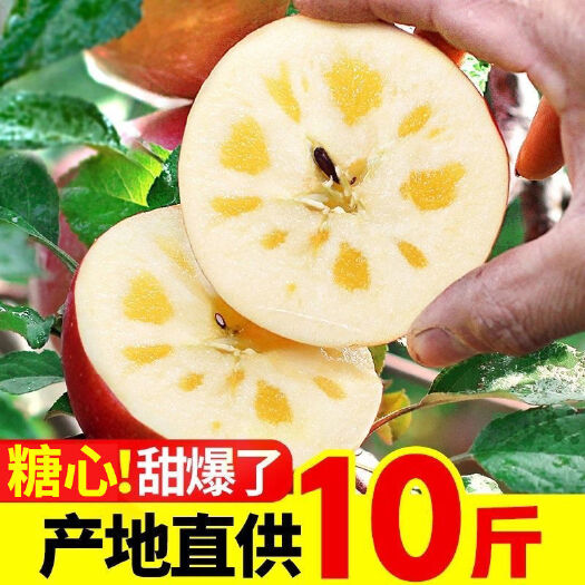红富士苹果  山西脆甜膜袋红富士丑苹果新鲜采摘脆甜多汁