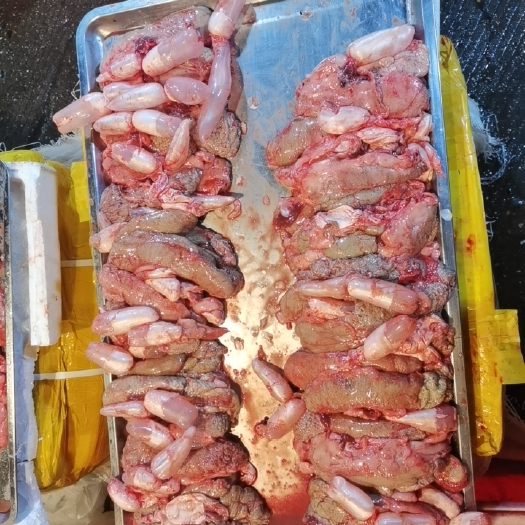 长沙新鲜鱼籽，鲤鱼籽，白籽