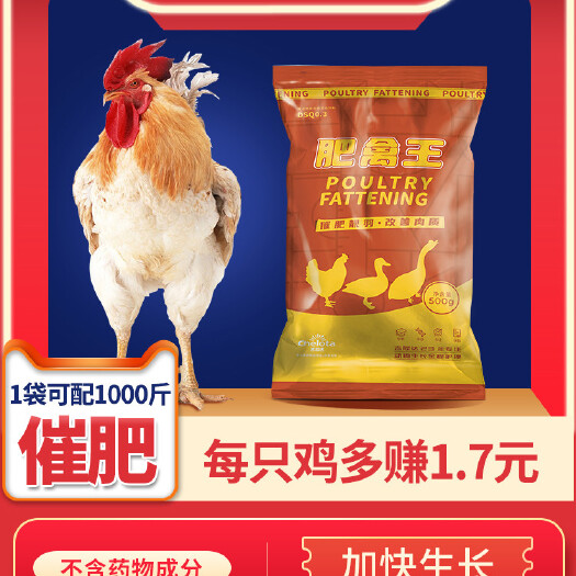 沙河市微生物饲料添加剂  肥禽王