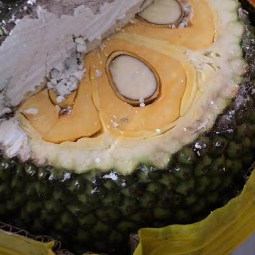 凭祥市散装红肉菠萝蜜，颠覆你对菠萝蜜的认知！肥厚Q脆的果实