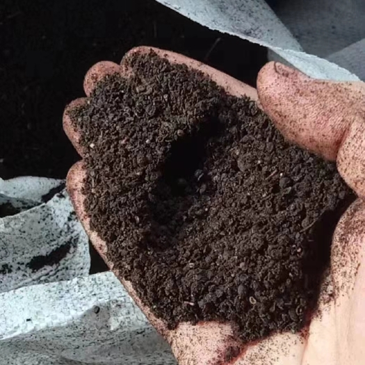 石家庄 花椒籽粕