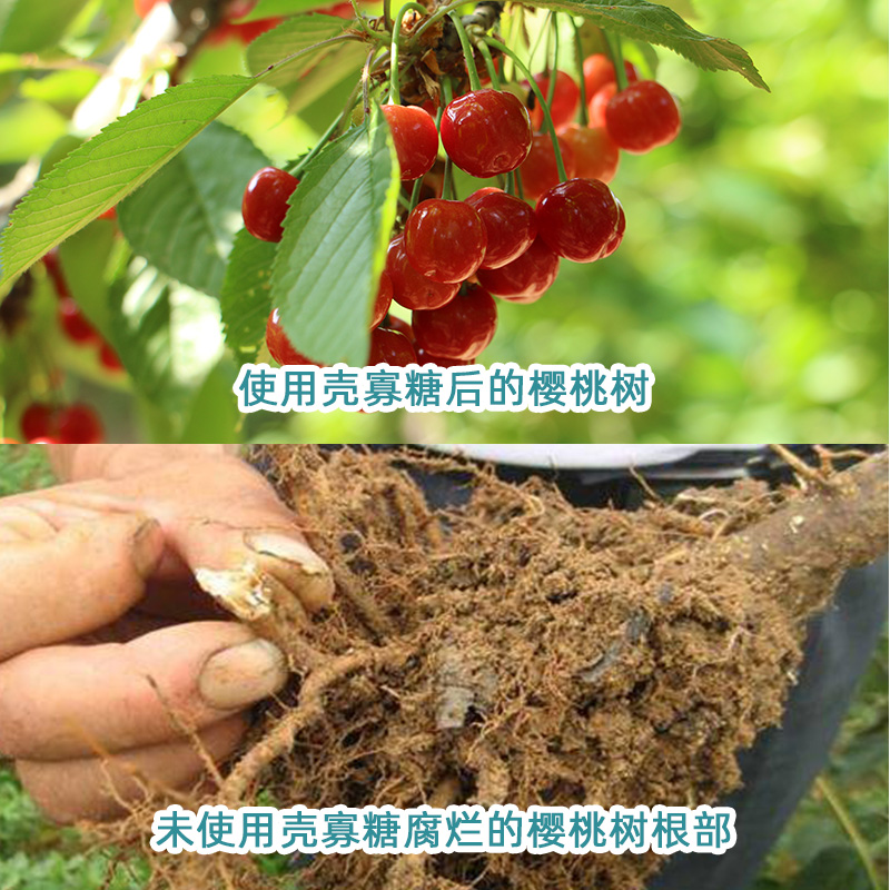 甲壳素肥  蓝宝沣农业级壳寡糖氨基寡糖素小分子壳聚糖全水溶肥