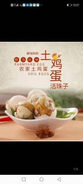 乳山市毛蛋  活珠子