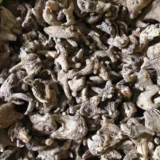 广水市白及 白芨
