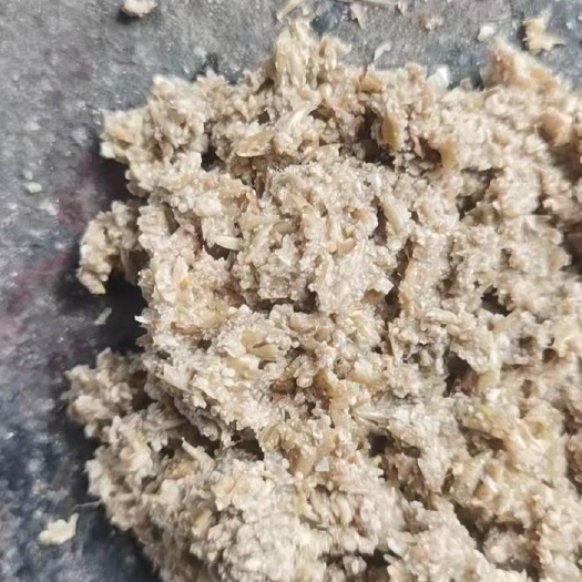 嘉禾县新鲜啤酒糟直发（粗糟细糟都有）含35以上粗蛋白，一毛多一斤装
