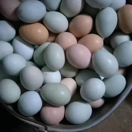 贵阳正宗土鸡蛋，绿壳蛋