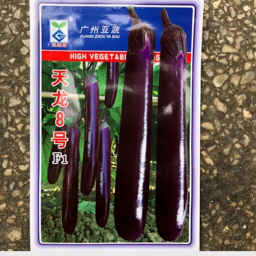 茄子种子  天龙8号茄子，杂交品种，光泽度好