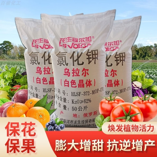 郑州现货供应 农业氯化钾肥料 钾肥水产养殖全水溶营养肥量大从优
