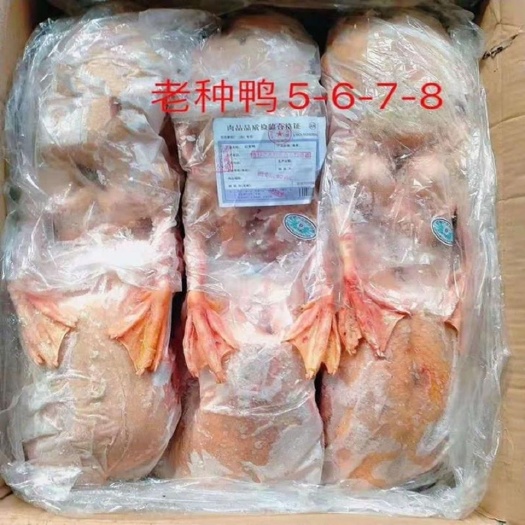 南京鸭肉类  新鲜冷冻老鸭老种鸭连箱40斤6到9只淘汰老鸭