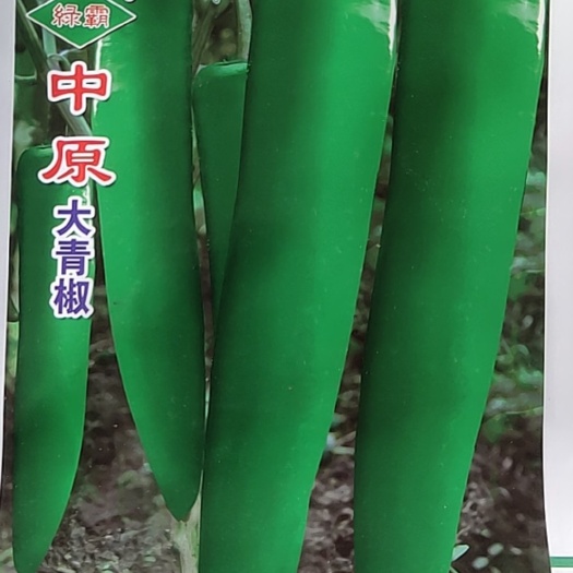 辣椒种子 绿霸。中原大青椒，一颗生长两斤左右，产量非常高，