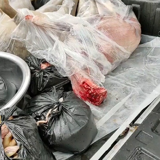 威宁县羊肉类  贵州本地黑山羊肉批发