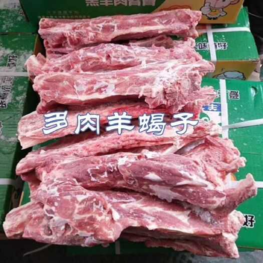 南京 生鲜冷冻清真多肉羊蝎子羊脊骨自助餐火锅店熟食店通用20斤
