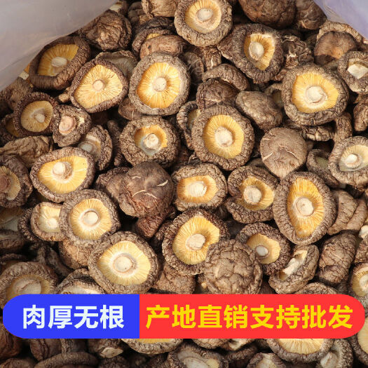 椴木菇  香菇干货干香菇批发优惠野生小蘑菇菌菇农家椴木香菇