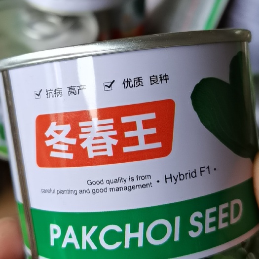 济南耐寒耐抽苔油菜上海青种子