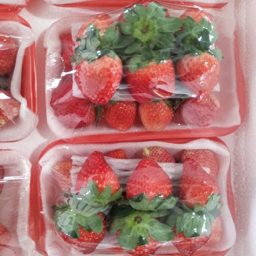 徐州 精品宁玉草莓