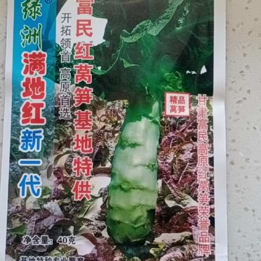 古浪县红莴笋种子