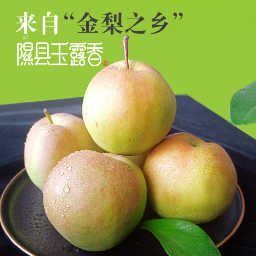 隰县香梨 玉露香软伤果轧伤果