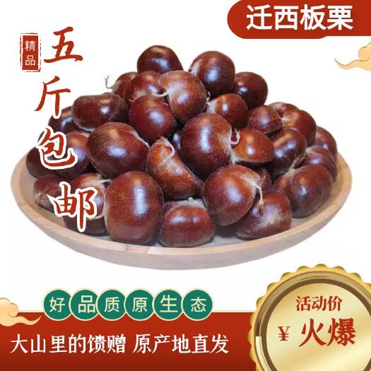 迁西县【预售中】迁西板栗鲜板栗包邮支持各大电商微商一件代发