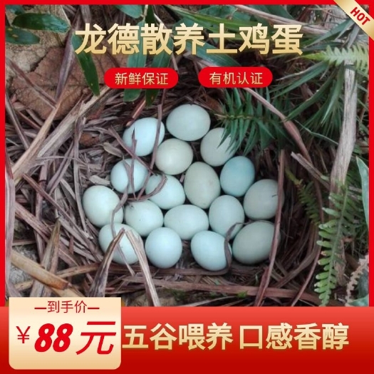 乳源县 有机绿壳土鸡蛋