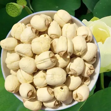 石城县 白莲干货农家手工通芯白莲子500g起去芯莲子无硫软糯贡莲