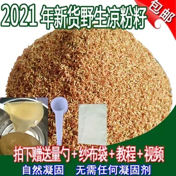 薜荔  木莲豆腐薛荔果籽凉粉籽爱玉籽爱玉子手搓冰粉籽石木瓜1