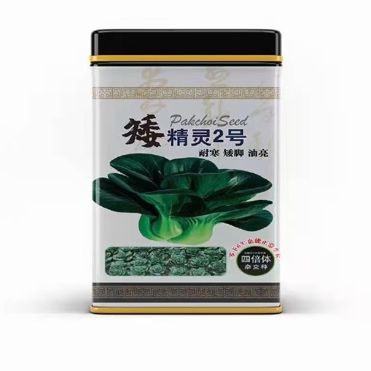 余干县黑叶白菜种子  矮精灵2号，耐寒零下十度照样生长，杂交品种，