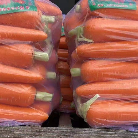  精品胡萝卜大量有货