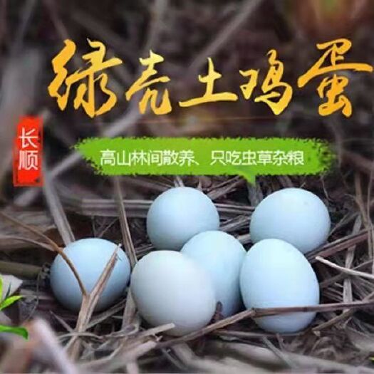 惠水县绿壳蛋  贵州长顺正宗绿壳鸡蛋新鲜土鸡蛋农家散养高原新鲜鸡蛋360枚