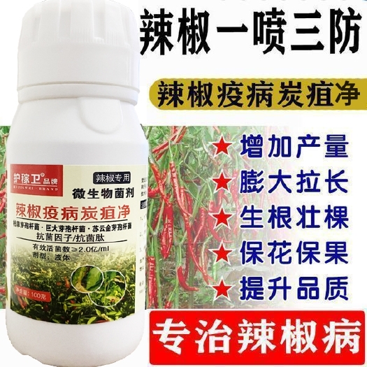 甲基营养型芽孢杆菌 辣椒疫病炭疽净药辣椒病杀菌剂