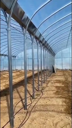 咸阳种植大棚
