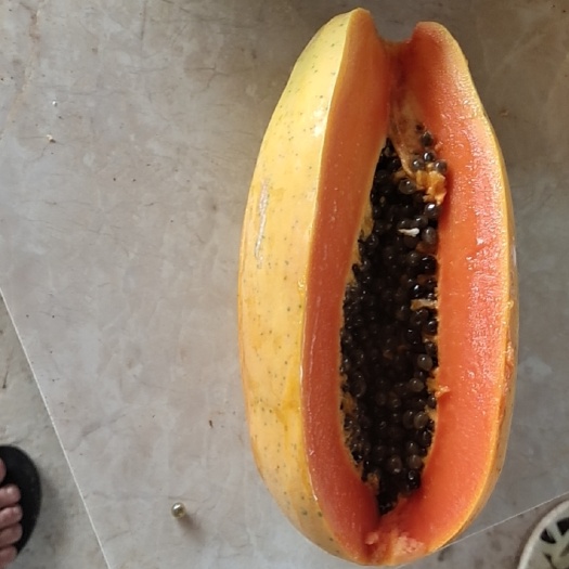 大量供应广东茂名电白 大青  中白  大白木瓜有货有量品质好