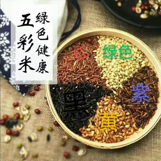 郯城县紫米 五彩旱稻  种子