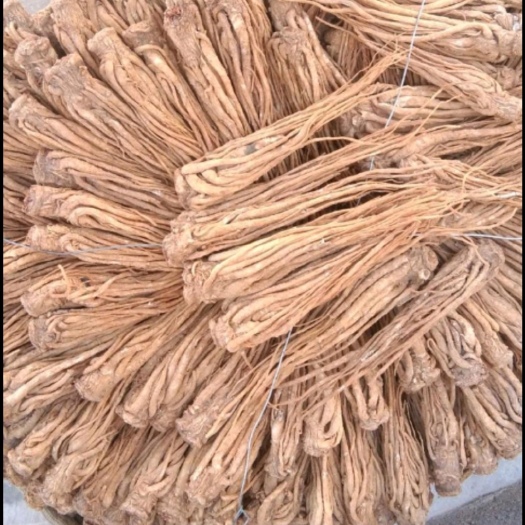 岷县岷当归  干当归