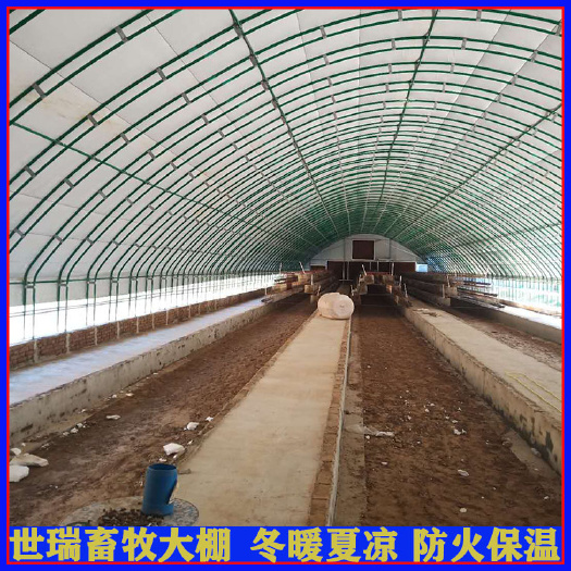 宁津县 搭建肉鸡养殖大棚蛋鸡养殖棚建设鸡舍安装材料