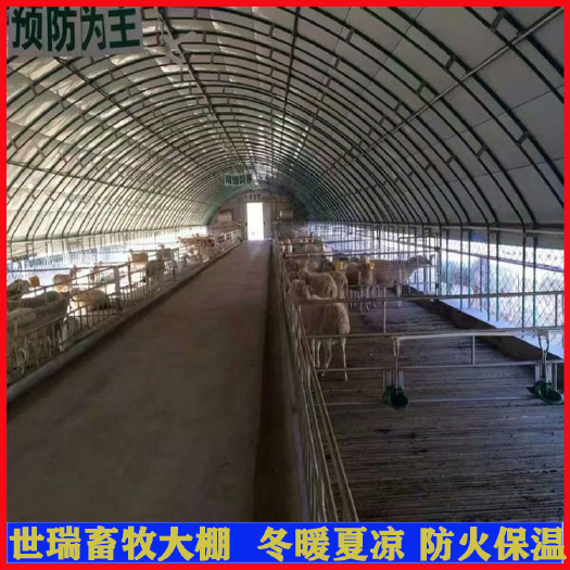 宁津县 建设山羊养殖大棚养羊棚施工材料羊舍安装