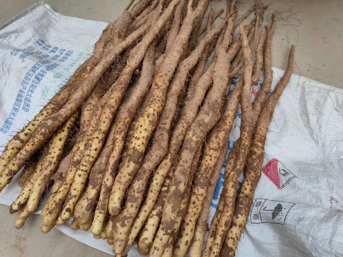 铁棍山药河南焦作温县垆土铁棍山药铁杆怀山原产地批发直销